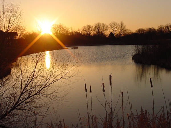 View from Dr. LaFond's back yard