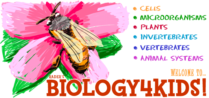 Biology 4 Kids