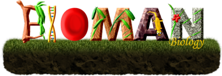 Bioman Biology