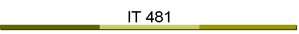 IT 481