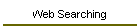 Web Searching