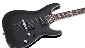 Schecter Damien