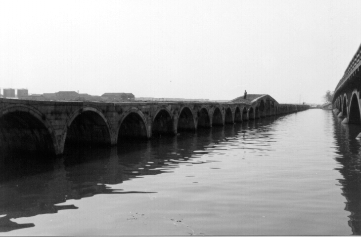 SUZ_ BRD.JPG - 165.41 K