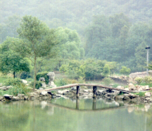 westlak2.jpg - 270.19 K