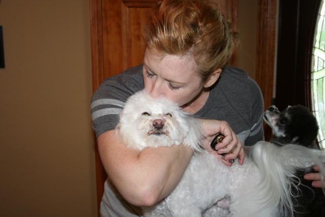 Smooches with Pooches