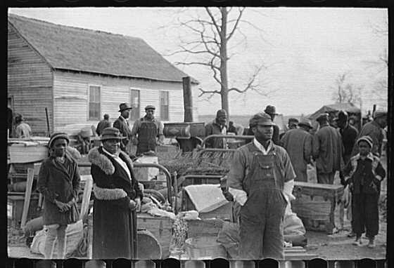 Image, Source: intermediary roll film